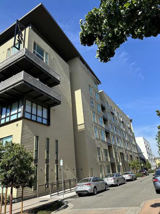 Project Image 15